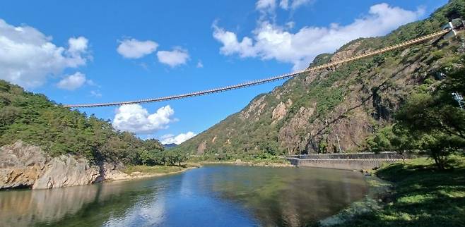 금산을 대표하는 관광지 '월영산 출렁다리'