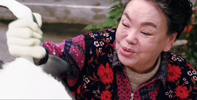 영화 ‘홍어의 역습’ 예고 캡처