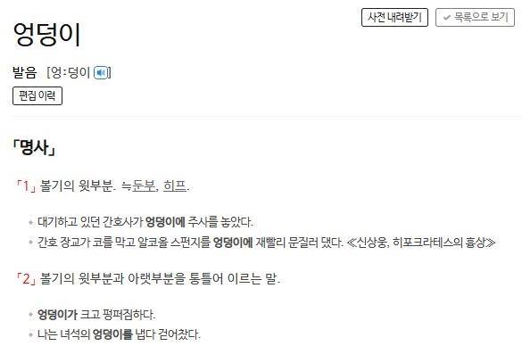 엉덩이에 대한 사전의 정의 표준국어대사전 캡처