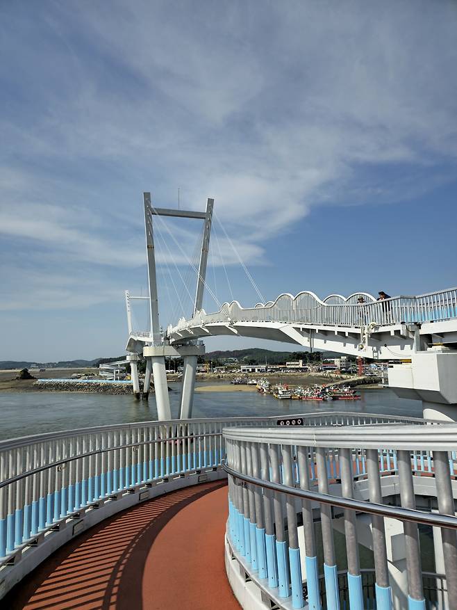 백사장항 꽃게랑새우다리.