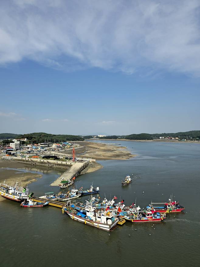 드르니항.