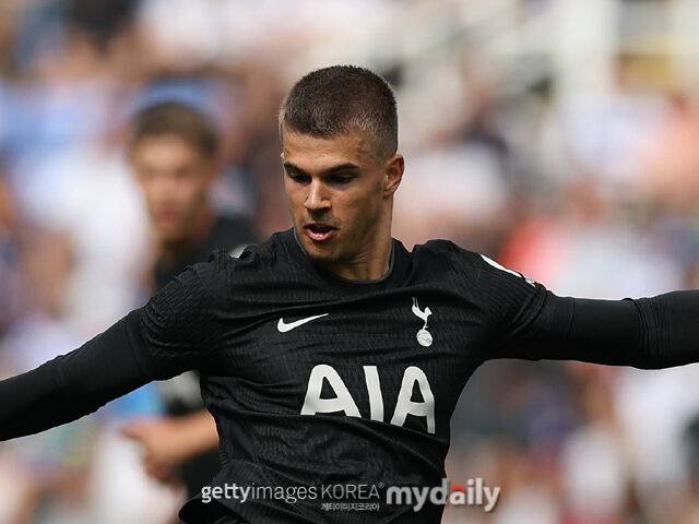 부슈코비치/게티이미지코리아