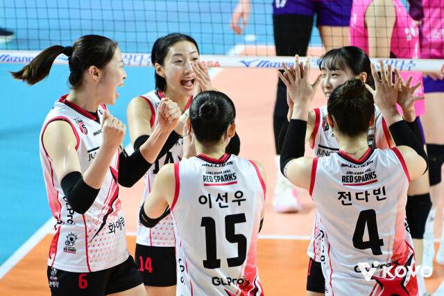 정관장 배구단./KOVO