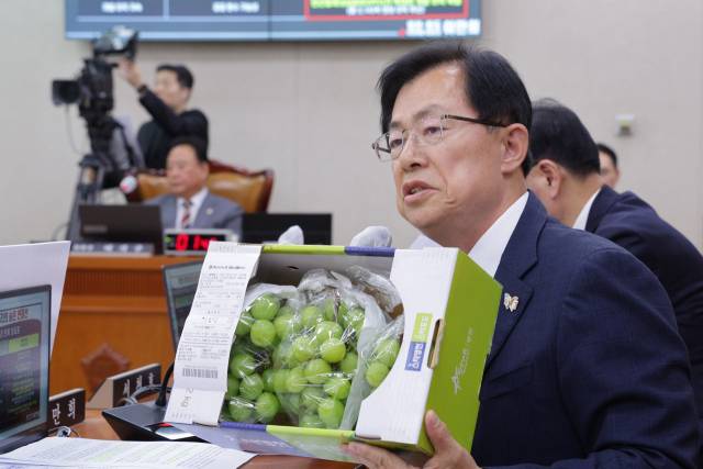 이만희 국민의힘 의원이 28일 서울 여의도 국회 농림축산식품해양수산위원회에서 열린 농림축산식품부 등에 대한 종합감사에서 샤인머스캣을 송미령 농림축산식품부 장관에게 질의하고 있다. 뉴스1