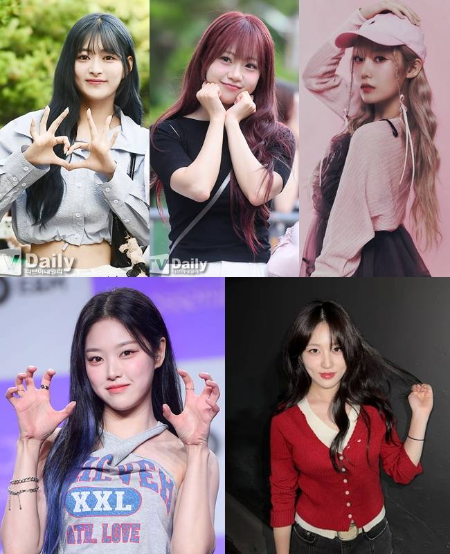 티브이데일리 포토