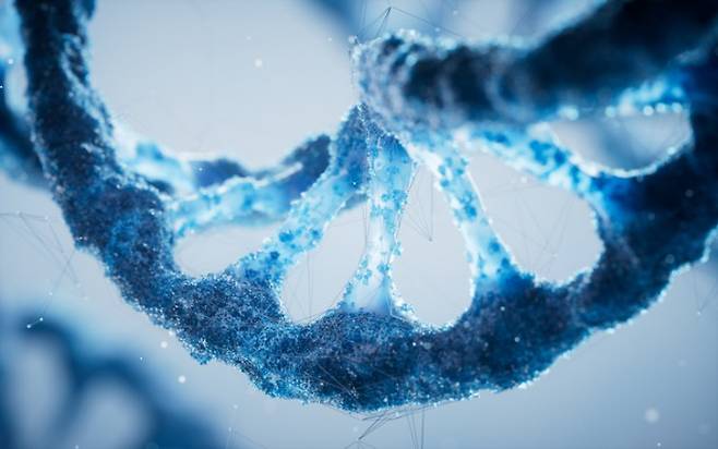 유전자. 게티이미지뱅크 제공