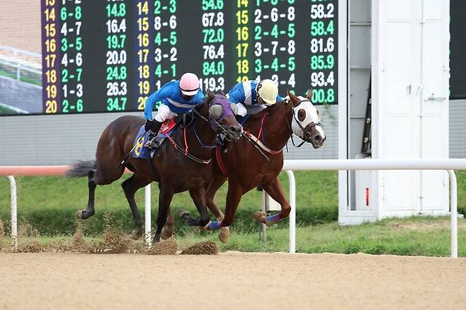 김해시장배 우승마 슈퍼에어로(2번마)와 다나카 기수.(사진 한국마사회 제공)