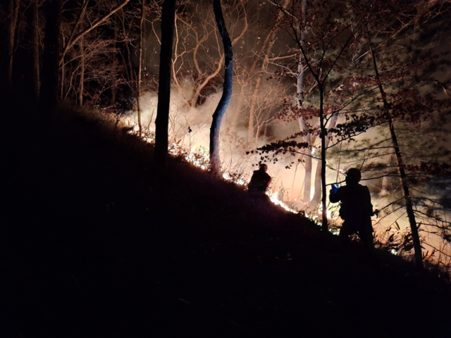 ▲ 지난 22일 오후 6시 12분 양양 서면 서림리에서 산불이 발생해 산림·소방당국이 야간 진화작업을 벌이고 있다. 산림청 제공