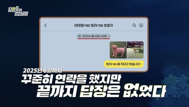 사진=채널A ‘탐정들의 영업비밀’
