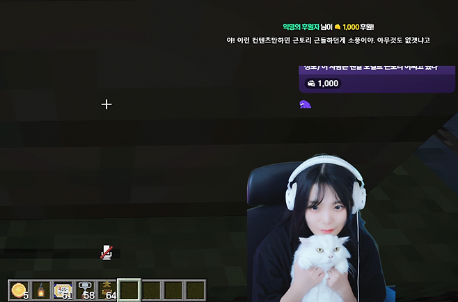 ▲ 스토리요? 대신 귀여운 고양이 누누를 드리겠습니다 / 출처: 소풍왔니 치지직 다시보기