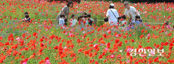 체험학습을 축소하는 분위기 속 경쟁력을 의식한 유치원들은 근교 체험학습을 더 자주 떠난다. 사진은 현장학습 나온 아이들의 모습. /경인일보DB