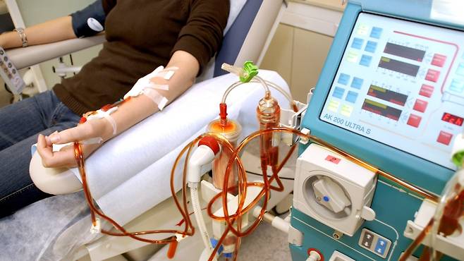 고혈압과 당뇨병을 방치하면 신장 투석이 필요한 '말기 신부전'으로 진행할 수 있다|출처: 클립아트코리아