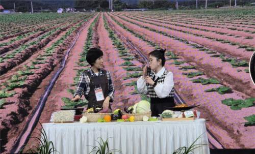 ◇소담스퀘어 강원 라이브커머스 경진대회.