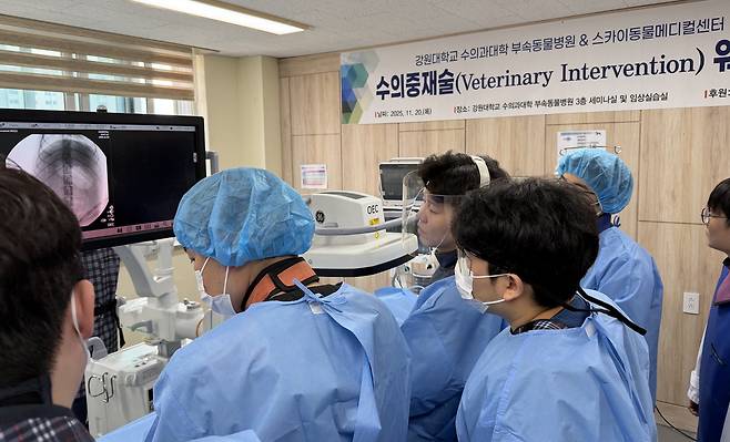 스카이동물메디컬그룹은 최근 강원대학교 수의과대학에서 인터벤션(중재치료) 심화 워크숍을 개최했다(스카이동물메디컬그룹 제공). ⓒ 뉴스1