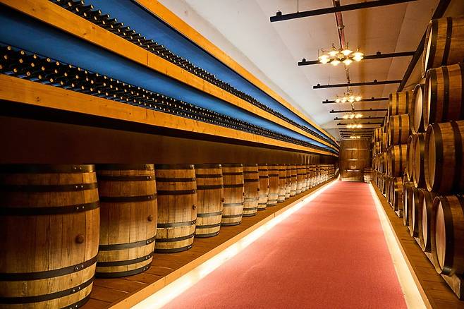 영동 특산품인 와인을 만날 수 있는 영동와인터널. 사진=도진영