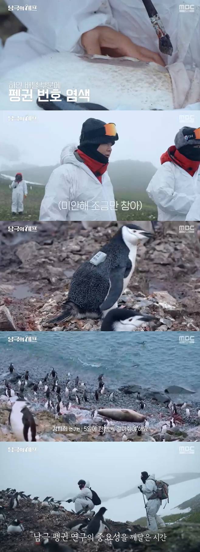 /사진=MBC '남극의 셰프' 방송 캡처