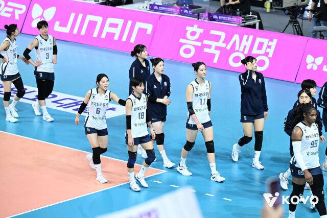 한국도로공사 배구단./KOVO