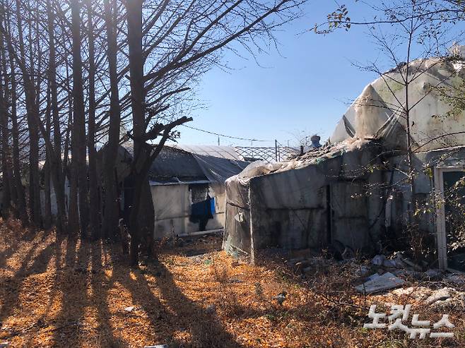 경기도 과천시 외곽의 한 비닐하우스촌. 약 450여 세대가 거주하는 이곳에 신천지 신도들이 다수 거주하고 있는 것으로 알려졌다. 장세인 기자