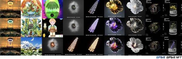 지난 5일 두나무가 '시드볼트 NFT 컬렉션' 시즌 3의 멸종위기 희귀·자생식물 보전지를 조성했다고 밝혔다. (시드볼트 NFT 컬렉션 시즌 1~3). /사진=두나무