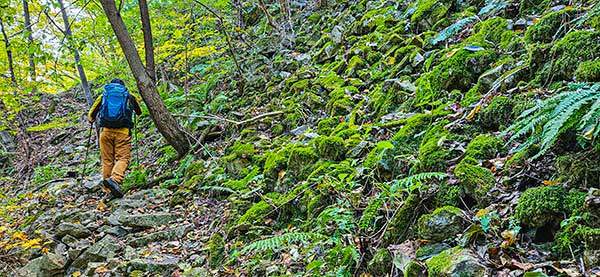 신선봉에서 사방댐 방향으로 내려서는 길은 경사로 낙엽에 미끄럽고 바위 너덜로 낙석 위험주의 구간, 이끼가 돌마다 가득하다.
