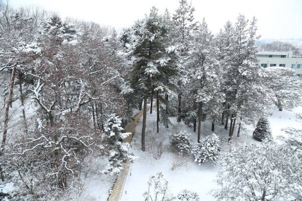 홍릉수목원의 겨울 풍경. (사진=국립산림과학원 제공)