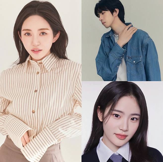 사진제공|모덴베리코리아