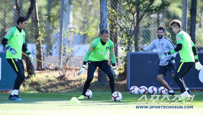 벤투 감독이 이끄는 축구대표팀이 8일 오후 파주축구트레이닝센터에서 훈련을 했다. 골키퍼 김승규, 구성윤, 조현우가 함께 훈련하고 있다. 파주=정재근 기자 cjg@sportschosun.com/2019.10.08/