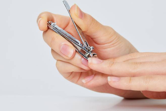 사진=게티이미지뱅크.