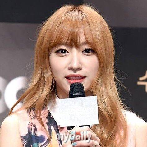 EXID 출신 하니 / 마이데일리