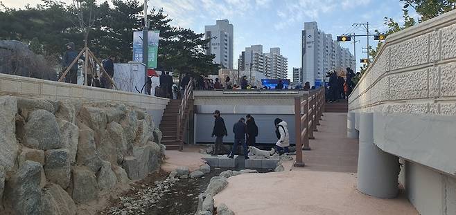 ▲ 8일 공사 계획까지 7년 걸린 포항 학산천 생태하천복원사업이 새 물길 통수 행사를 거치며 사실상 완성된 가운데, 시민들이 다리를 건너는 등 학산천을 오가는 모습. 황영우 기자