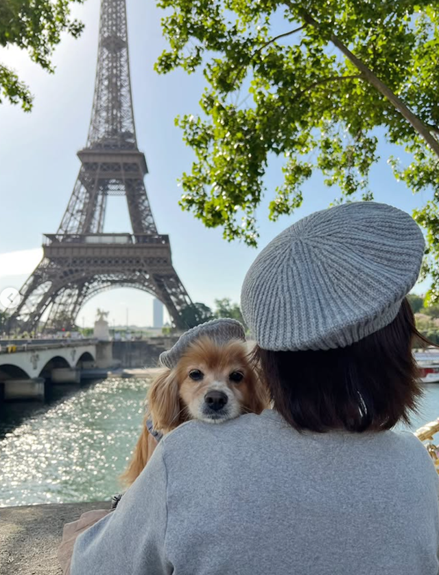 망고야, 인생샷을 얻었어! 웃어봐~ 보호자 제공