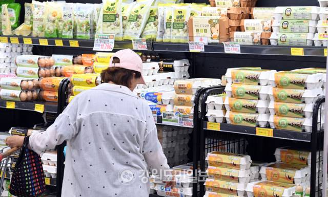 ▲ 강원도민일보 자료 사진