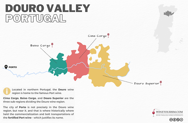 도우루 와인 산지. 포르투갈와인협회