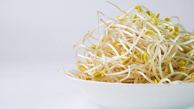 콩나물은 칼로리는 매우 낮지만 다양한 영양소를 풍부하게 함유하고 있다 | 출처: 클립아트코리아