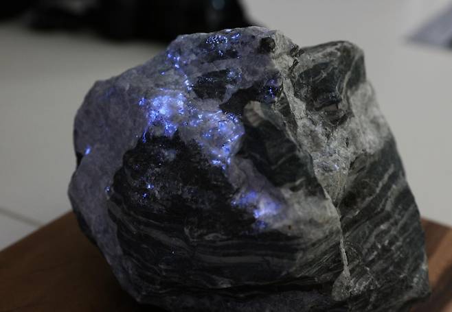 회중석에 자외선을 비추자 텅스텐이 함유된 부분이 파란빛을 띤다. 영월지오뮤지엄 제공