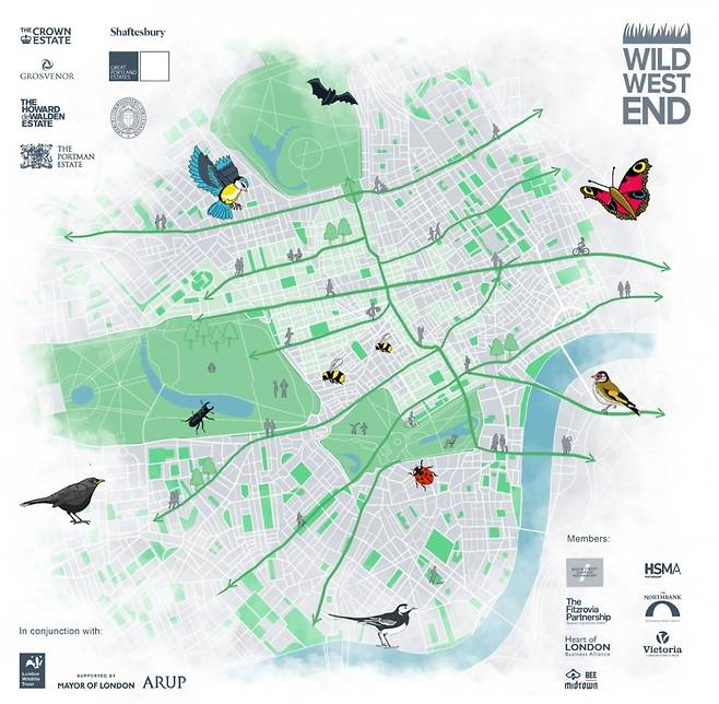 런던 ‘Wild West End’ 프로젝트가 제시한 도시 생태 회랑 지도. 공원과 가로, 건물 옥상까지 연결해 야생동물이 이동할 수 있는 도시 생태 네트워크를 시각화했다. 사진=Wild West End