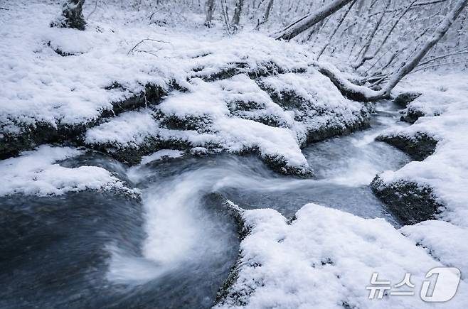 태백 검룡소 자료사진.(강원도 제공, 재판매 및 DB 금지) 2026.1.4/뉴스1