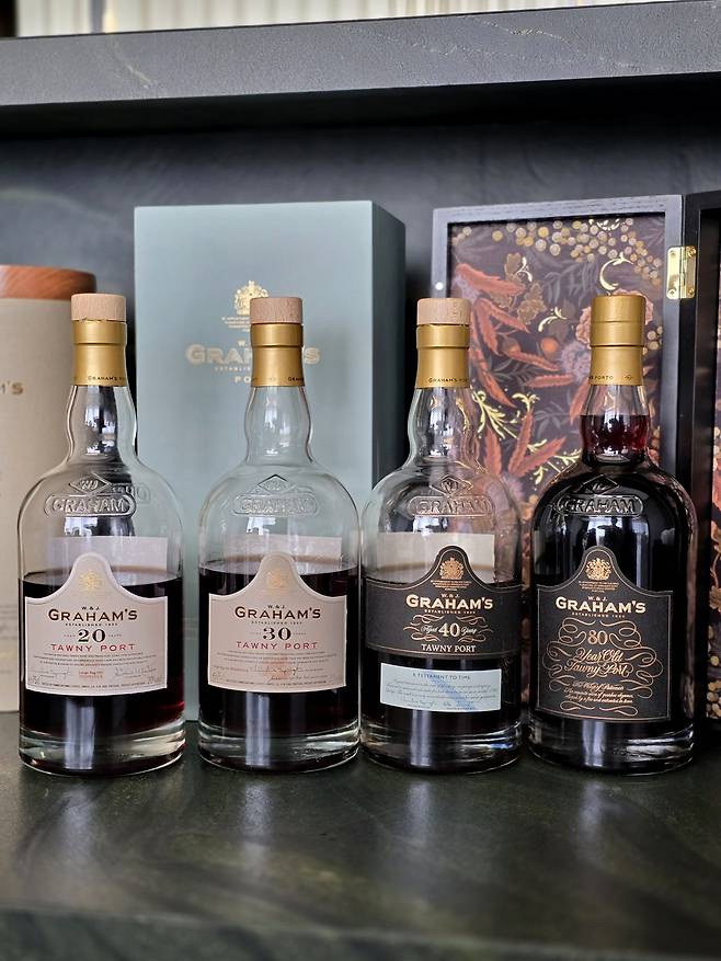 그라함 토니 포트. 최현태 기자