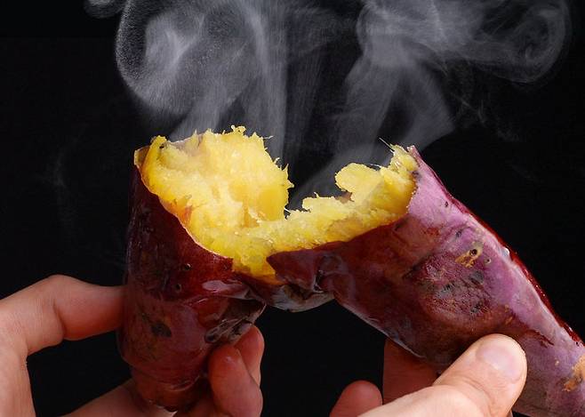 고구마는 혈당지수가 낮고, 식이섬유가 풍부해 체중 관리에 도움이 될 수 있다. 사진=게티이미지코리아.