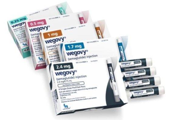 노보 노디스크의 비만·당뇨약 위고비/사진= 노보 노디스크