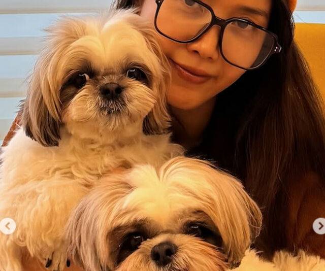 채정안이 이혼에 대한 솔직한 심경을 털어놨다. / 채정안 소셜미디어