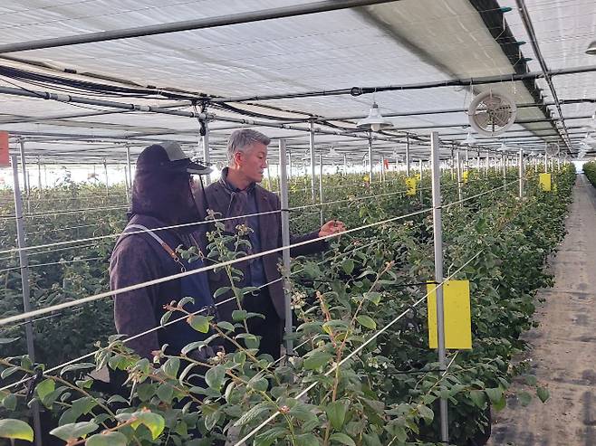 강종순 농업기술센터 소장(사진 오른쪽)이 농민과 재배기술과 관련해 대화하고 있다. 창원시 제공
