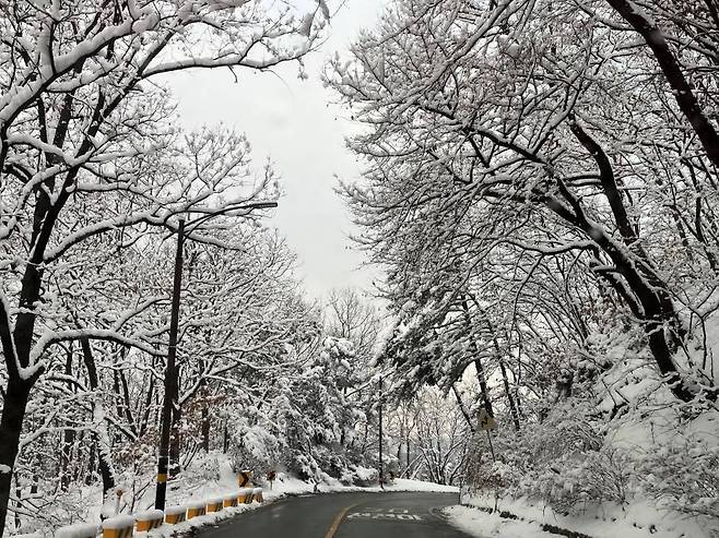도로 살얼음과 안개로 인한 교통사고의 경우 치사율이 매우 높고 예측이 어려워 대형 사고로 이어지기 쉽다 / 출처=IT동아