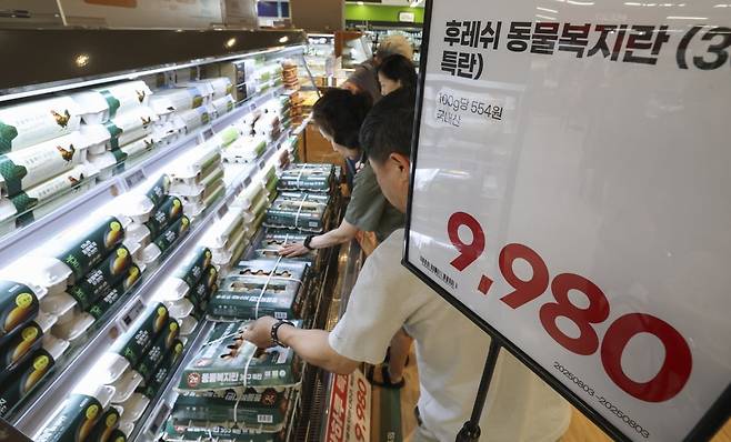 서울의 한 대형마트에서 시민들이 달걀을 고르고 있다./2025.8.3 사진=한경 임형택 기자