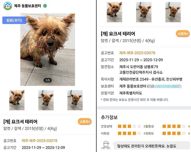 제주 동물보호센터에서 올린 니루의 정보. '귀가'로 변경된 상태가 눈에 띈다(보호자 제공). ⓒ 뉴스1