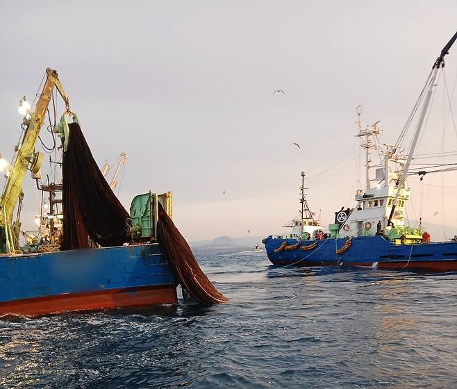 2025년 2월 서귀포시 대정읍 마라도 해역에서 그물을 이용해 조업하는 부산의 대형선망어업 선단. 모슬포어선주협회 제공