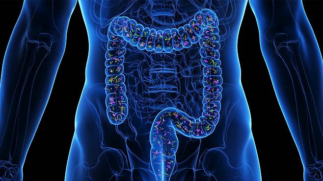 장 건강을 잘 챙기는 것은 면역, 피부, 정신 건강까지 바꿀 수 있는 기초가 된다|출처: 클립아트코리아