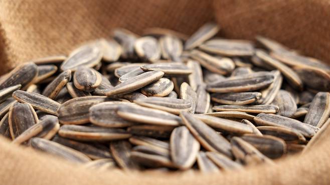 해바라기씨는 비타민 E 외에도 필수 미네랄 셀레늄이 풍부하다 | 출처: 클립아트코리아