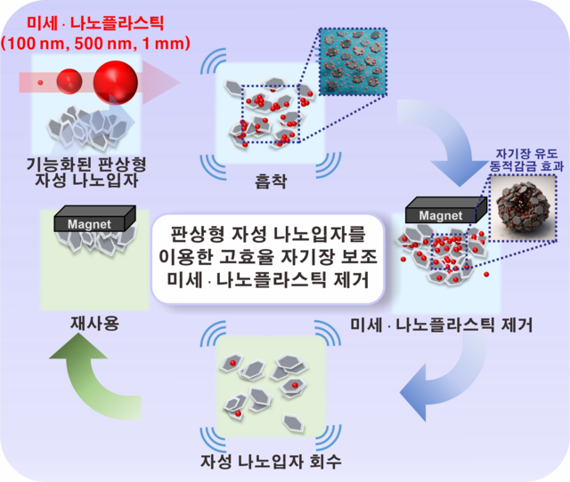 판상형 자성 나노입자를 이용한 미세·나노 플라스틱 제거 과정.