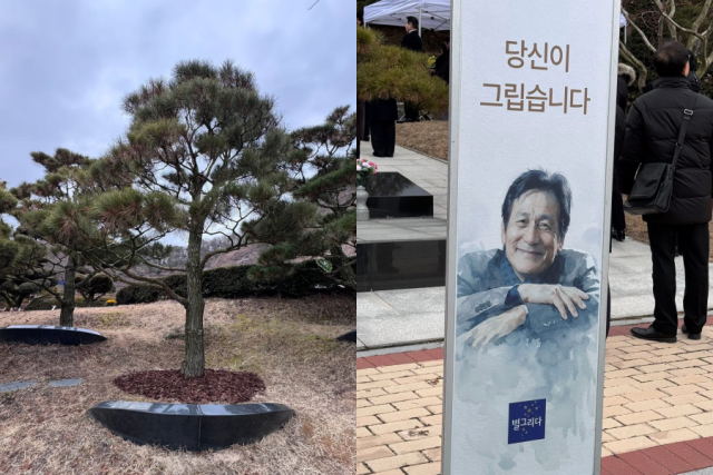 故 안성기가 경기도 양평인근에 수목장으로 영면에 들었다. / 엣나인필름 정상진 대표 제공